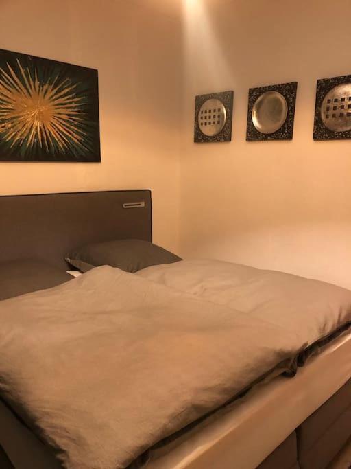 Eine 2 Zimmer Ferienwohnung Muenster City Dış mekan fotoğraf